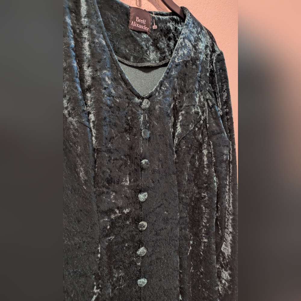 Brett Alixander Crushed Velvet Dress - Picture 4 of 4